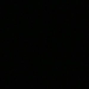 Meet your Posher, Basil